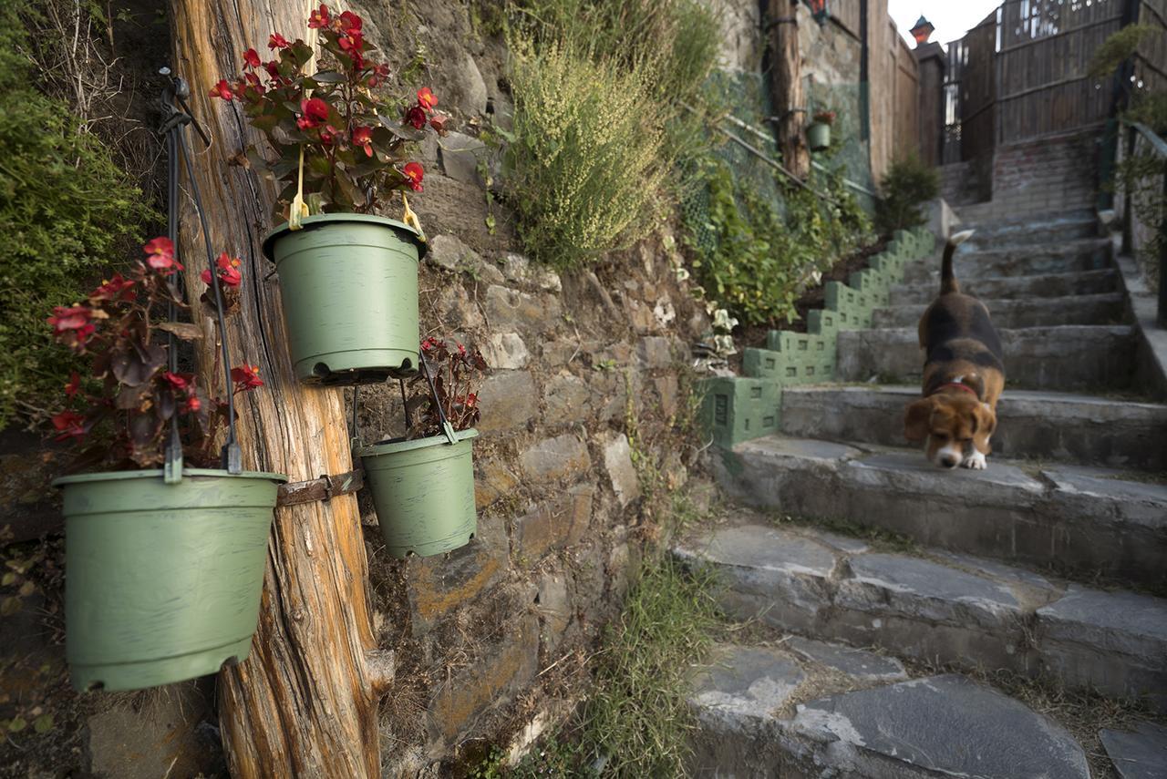 Meena Bagh Shimla Dış mekan fotoğraf